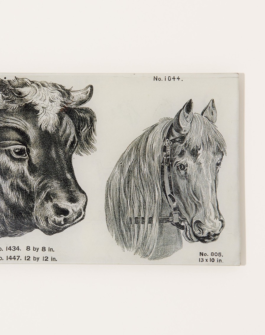 Home John Derian | Cow And Horse Tray