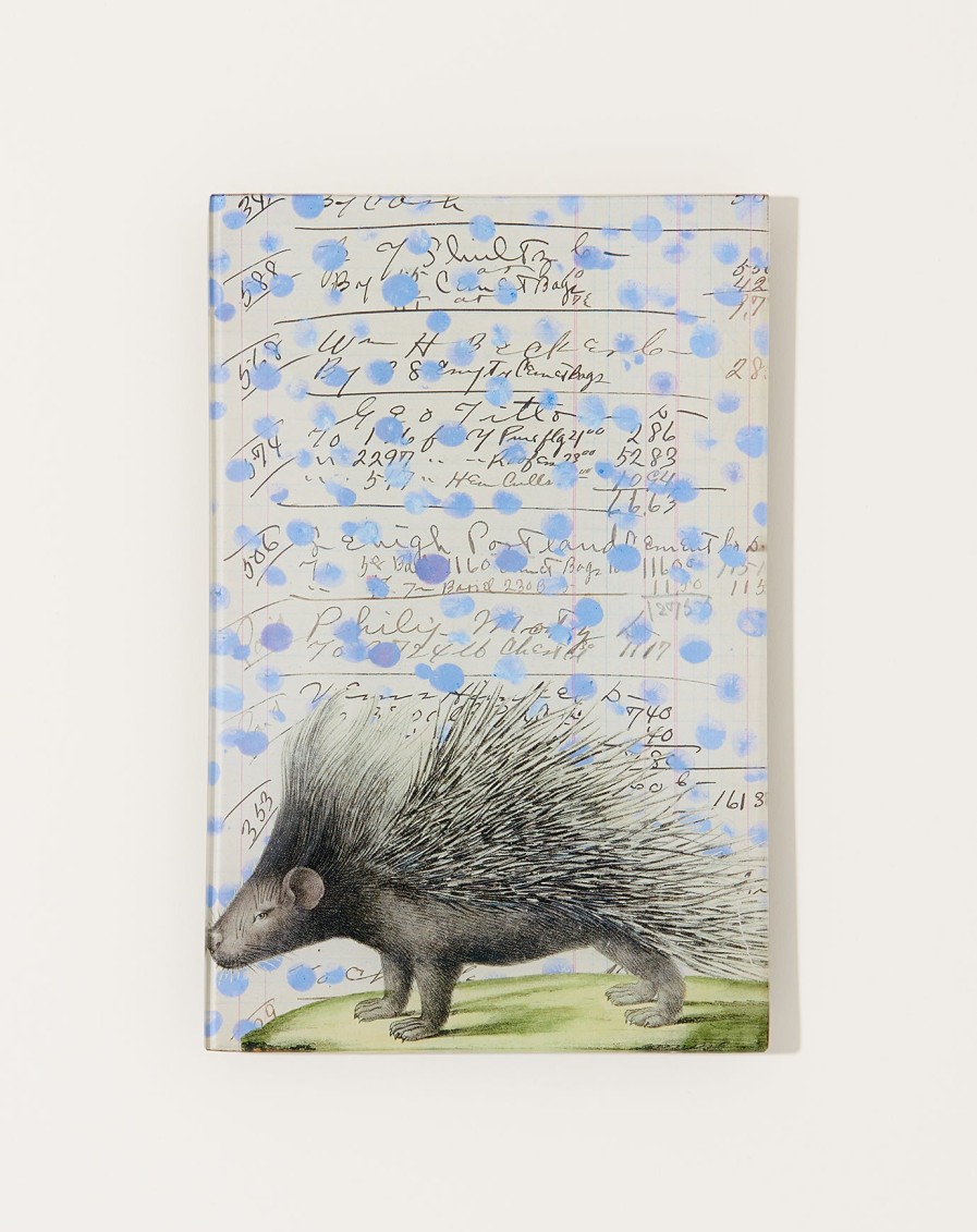 Home John Derian | Porcupine Tray