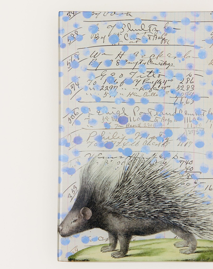 Home John Derian | Porcupine Tray