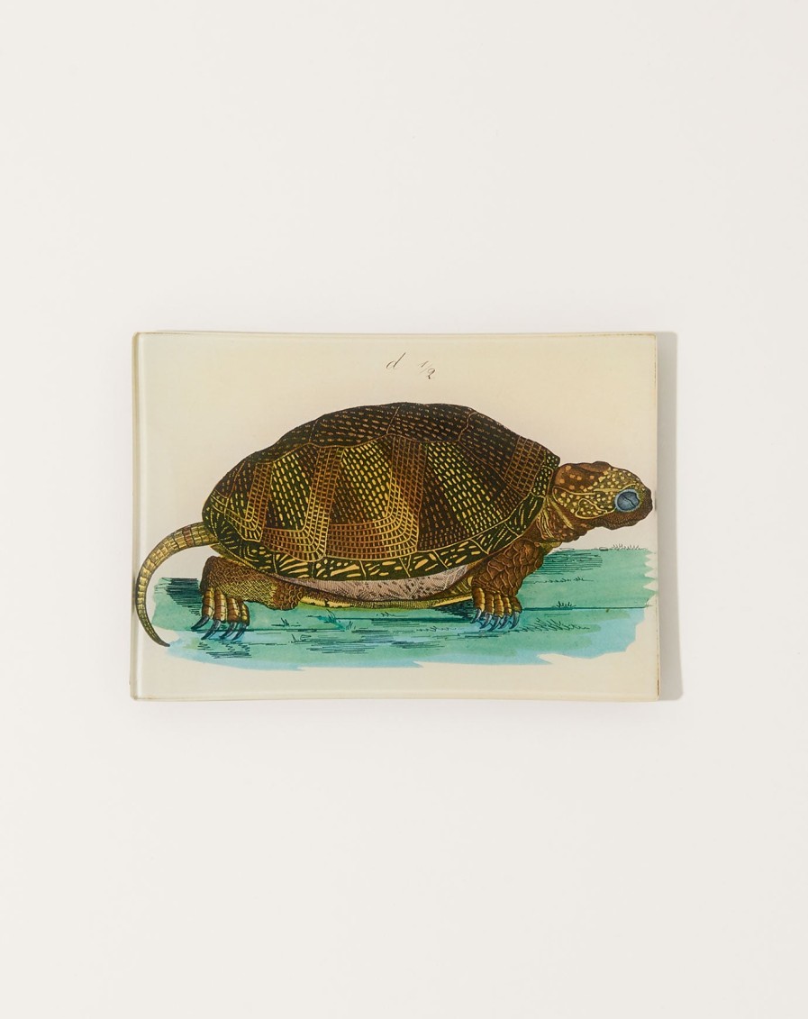 Home John Derian | Turtle D Mini Tray