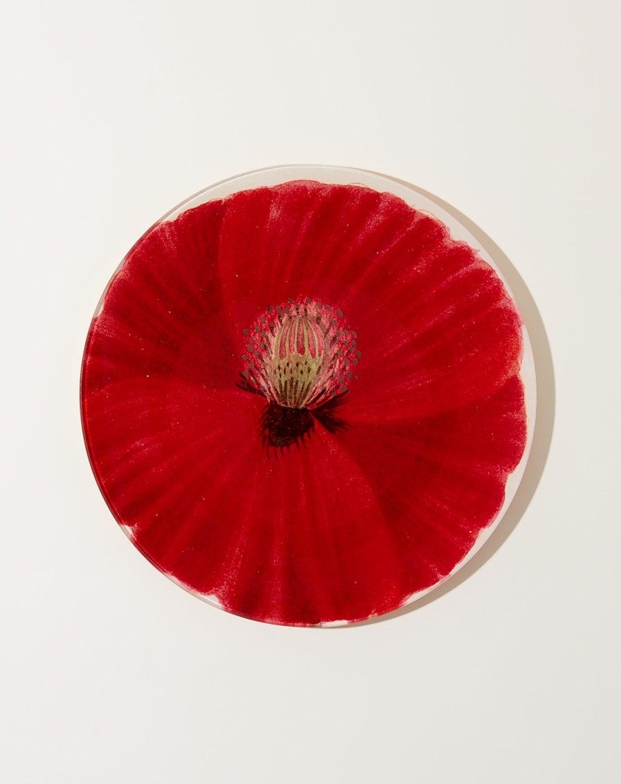 Home John Derian | Wild Rose Poppy 10" Round