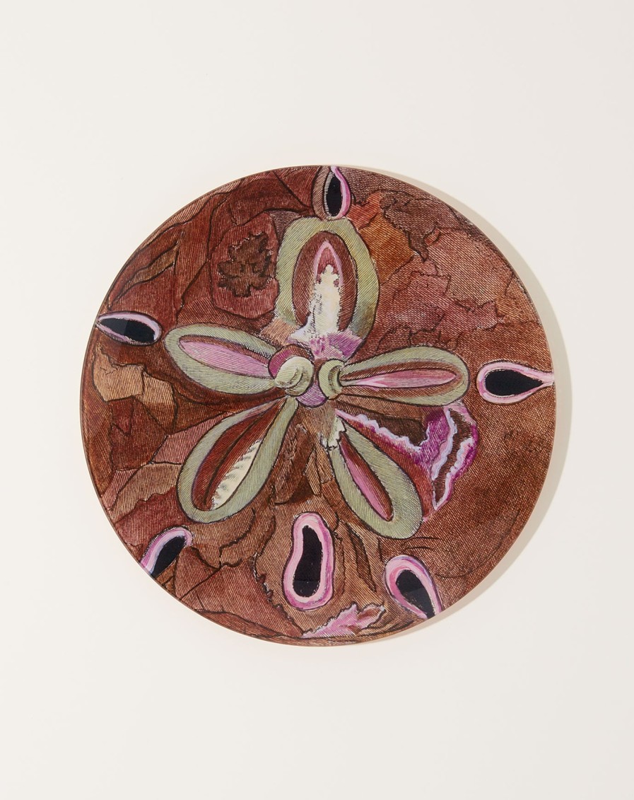 Home John Derian | Pink Urchin Fig. 1 11" Round