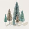 Home Cody Foster | Bottle Brush Trees In Winter Blue