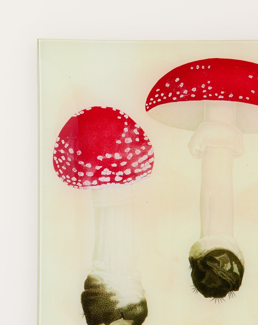 Home John Derian | Mushrooms Pl.18 Wall Tray