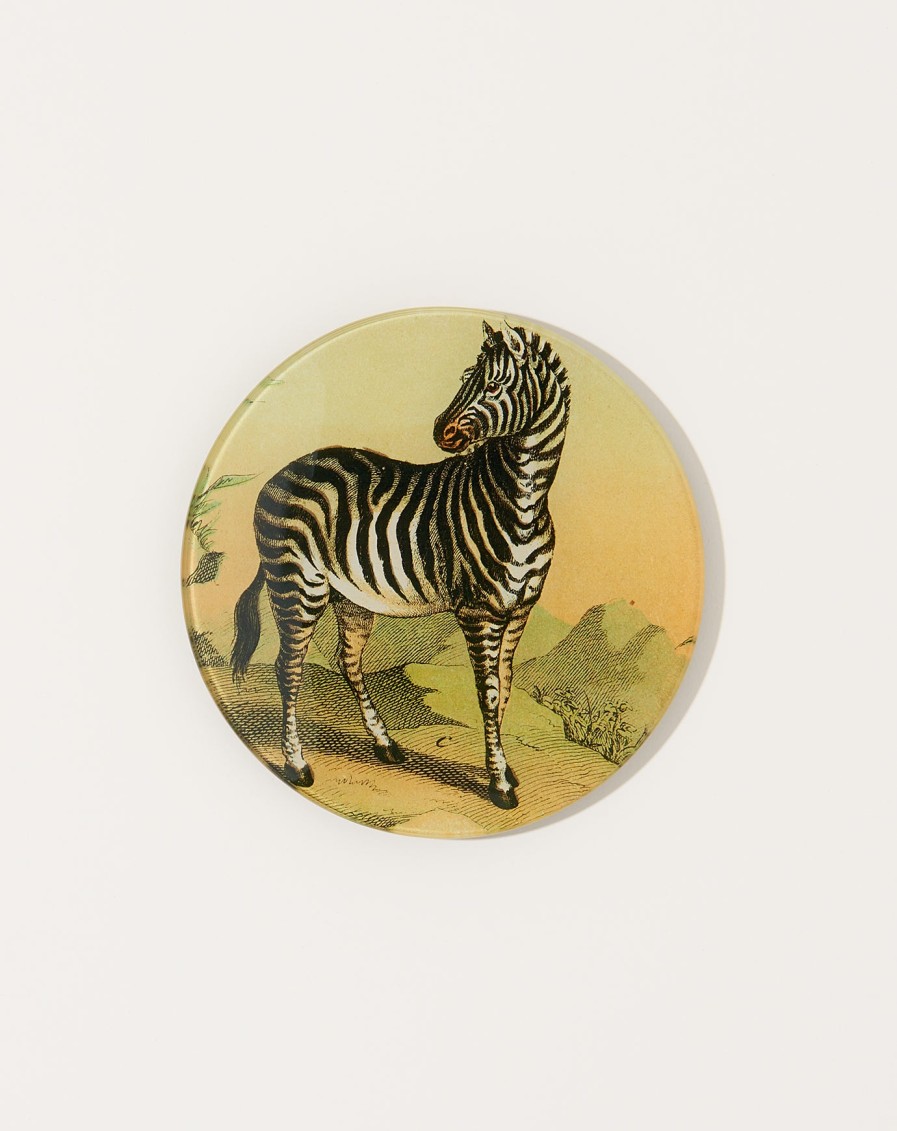 Home John Derian | Zebra 5 3/4" Round