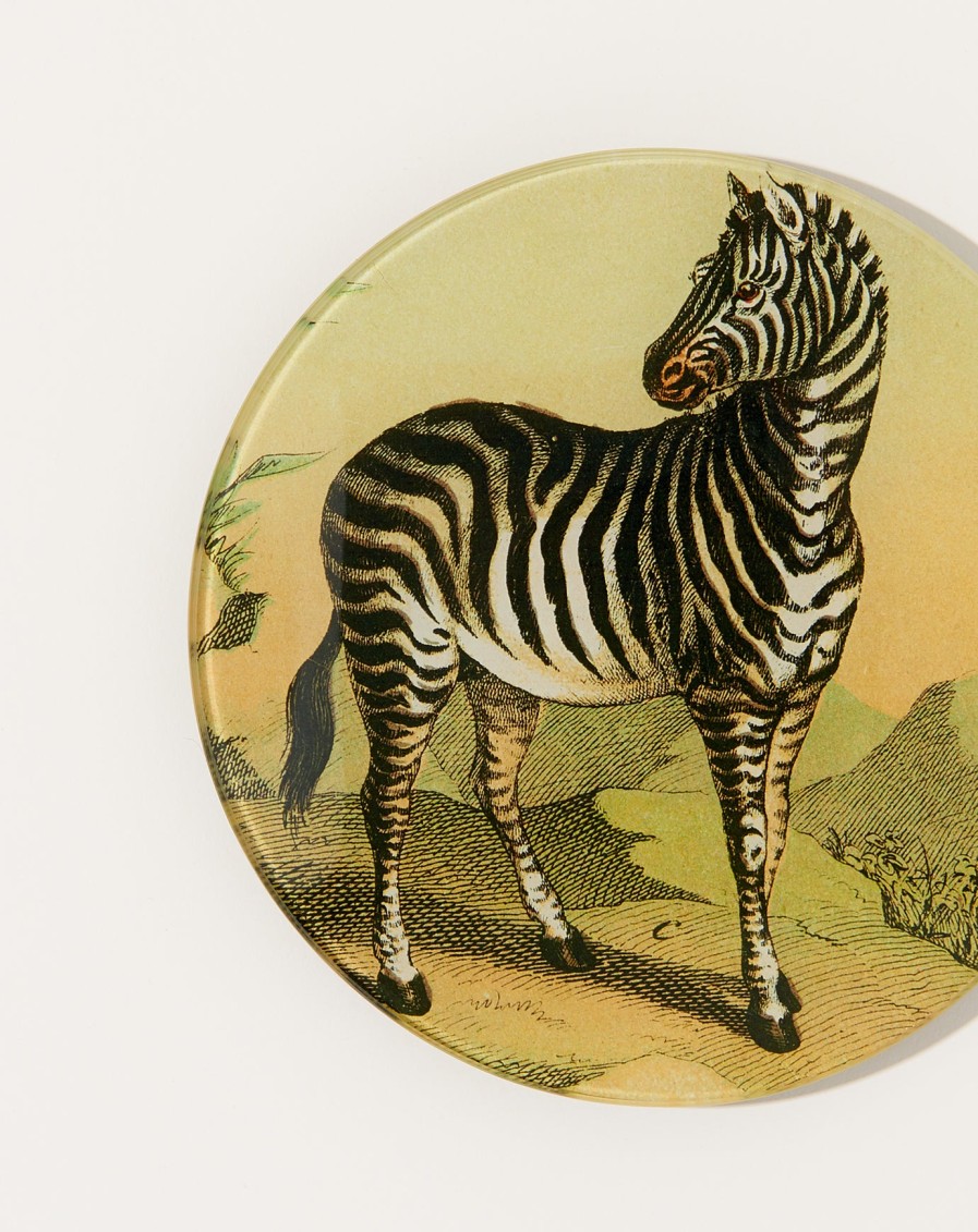 Home John Derian | Zebra 5 3/4" Round