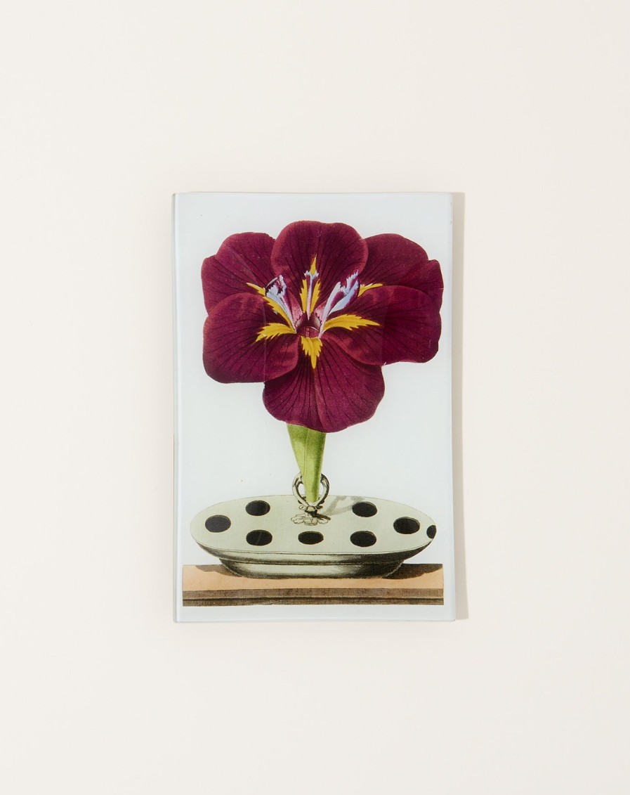 Home John Derian | Gladiola Rectangular Tray