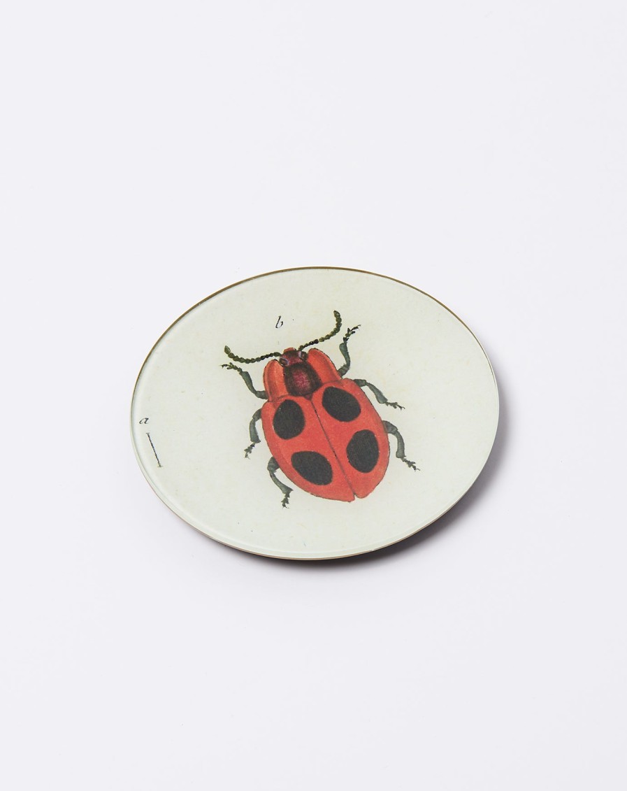 Home John Derian | Big Dot Lady Bug 5 3/4" Round