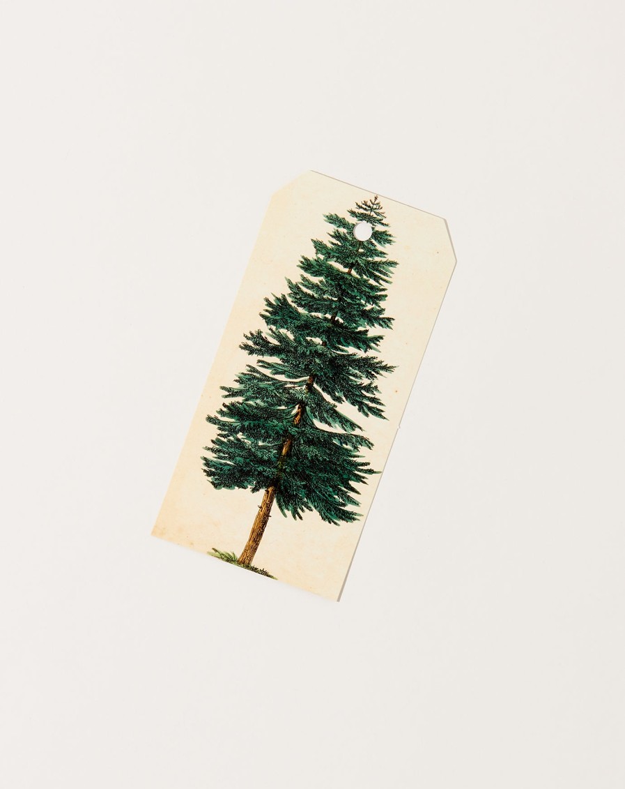 Home John Derian | Evergreen Tree Gift Tags