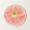 Home John Derian | Simple Pink Poppy 10" Round