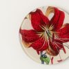 Home John Derian | Red Lily 4" Round