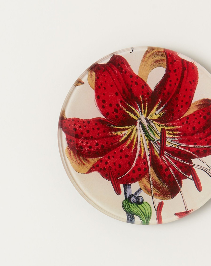 Home John Derian | Red Lily 4" Round