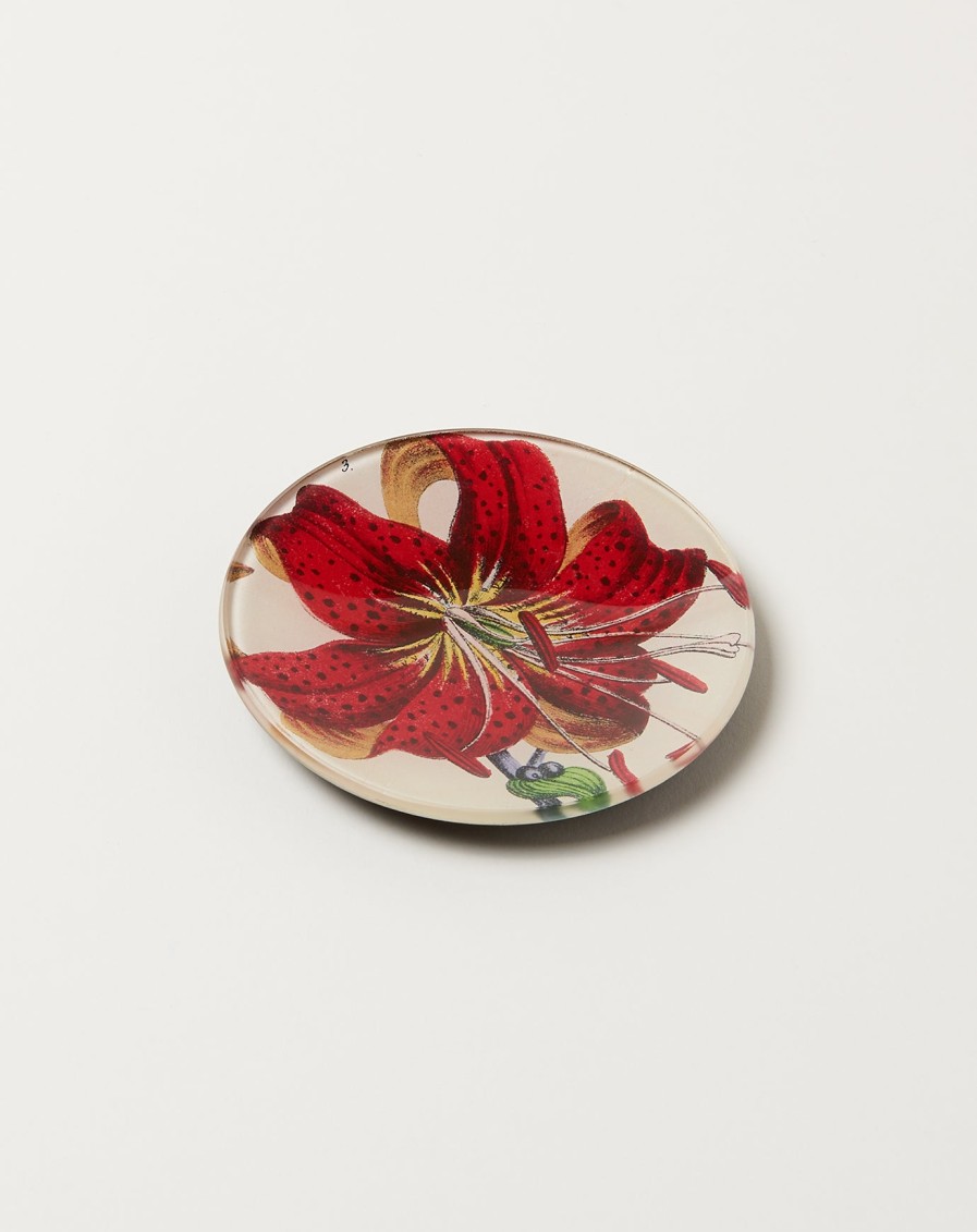 Home John Derian | Red Lily 4" Round