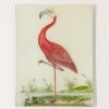 Home John Derian | #13 Flamingo Tray