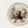 Home John Derian | Octopus Dome Paperweight