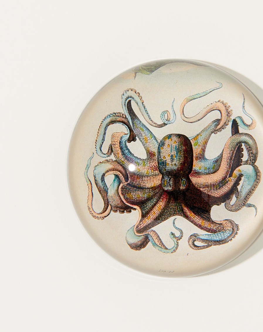 Home John Derian | Octopus Dome Paperweight