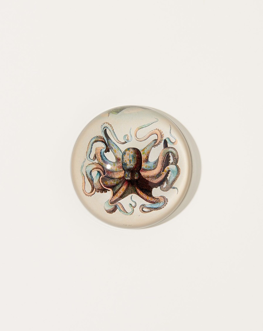 Home John Derian | Octopus Dome Paperweight