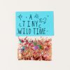 Home The Great Lakes Goods | Tiny Wild Time