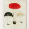 Home John Derian | Mushrooms Pl.20 Wall Tray