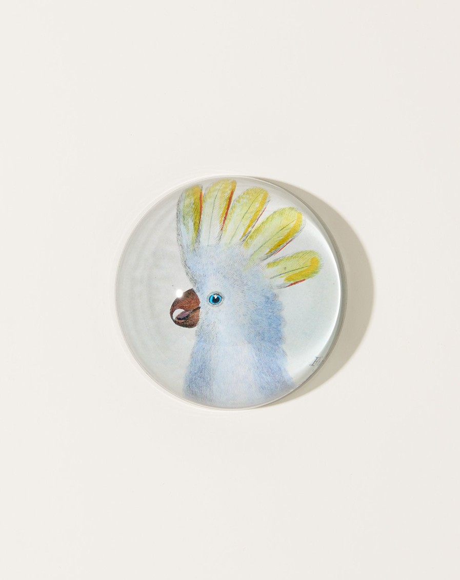 Home John Derian | Cockadoodle Paperweight