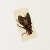 Home John Derian | Fly Gift Tags