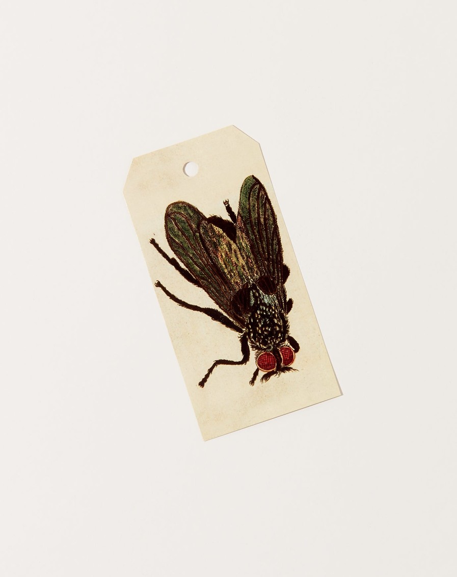 Home John Derian | Fly Gift Tags