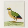 Home John Derian | #33 Good Hope Quail Tray