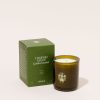 Apothecary Flamingo Estate | Climbing Tuscan Rosemary Candle