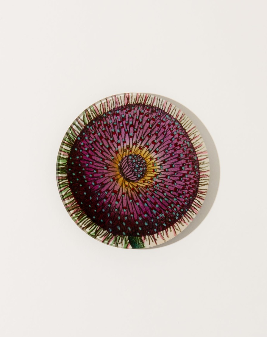 Home John Derian | Fringe 5 3/4" Round