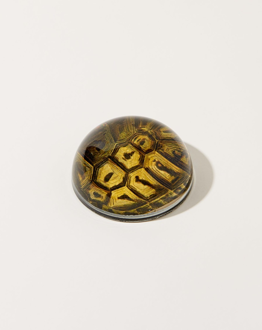 Home John Derian | Tortoise Dome Paperweight