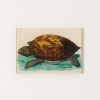 Home John Derian | Turtle C Mini Tray