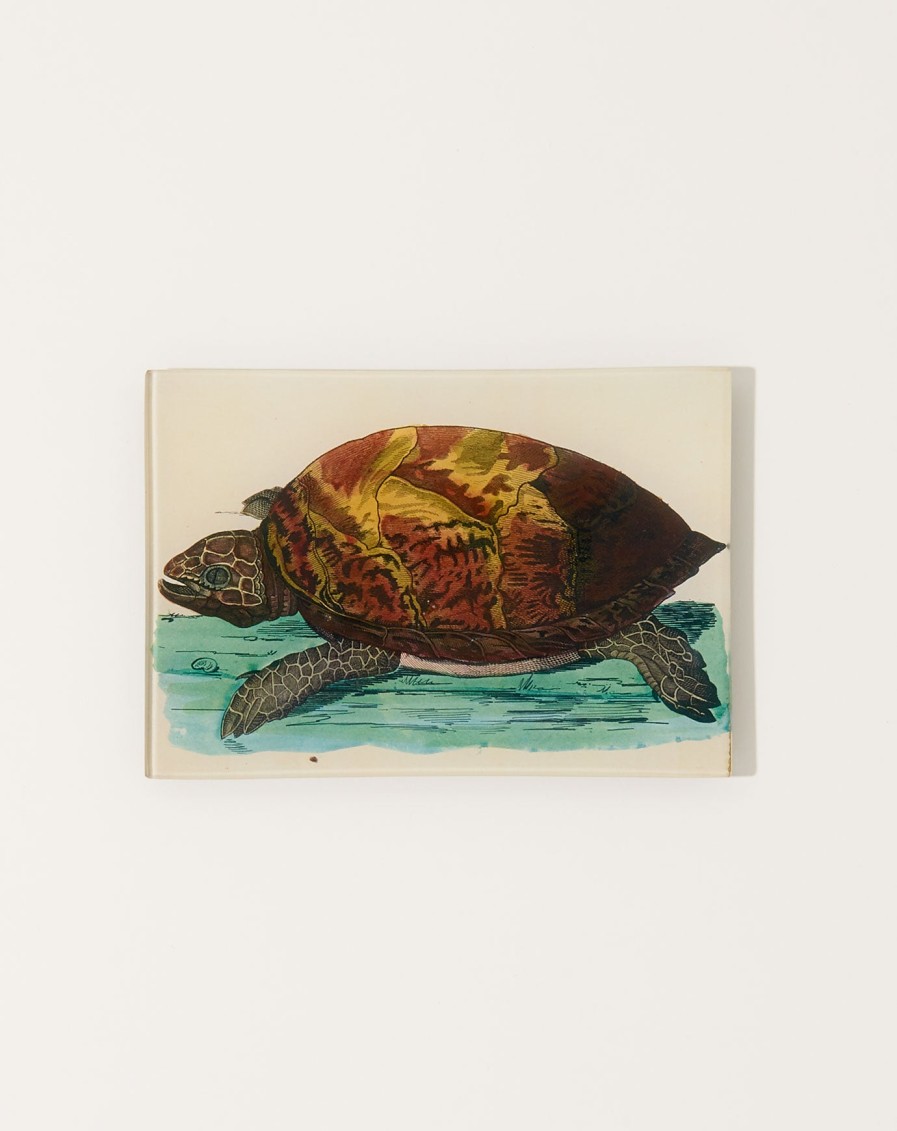 Home John Derian | Turtle C Mini Tray