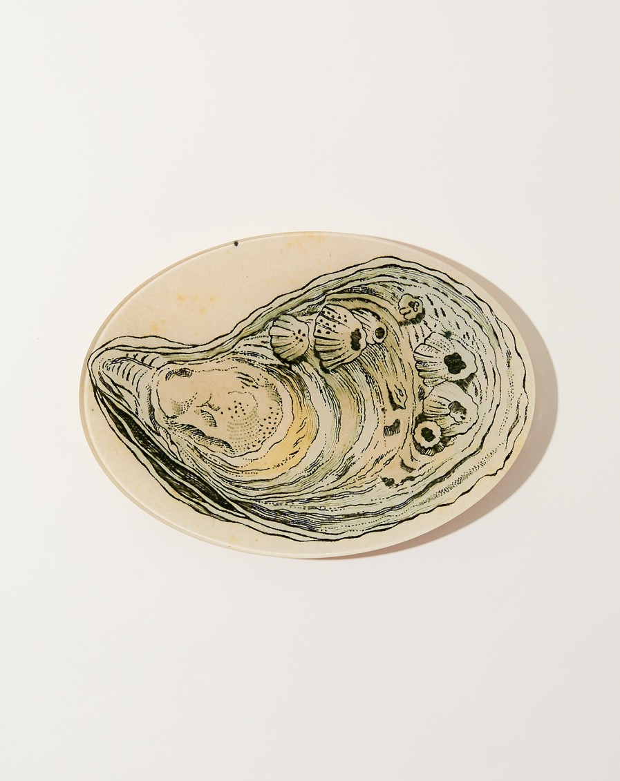 Home John Derian | Oyster 7 Large Oval Plate