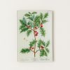 Home John Derian | Holly Mini Tray