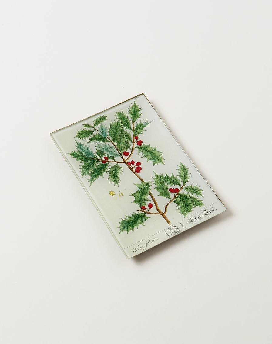 Home John Derian | Holly Mini Tray