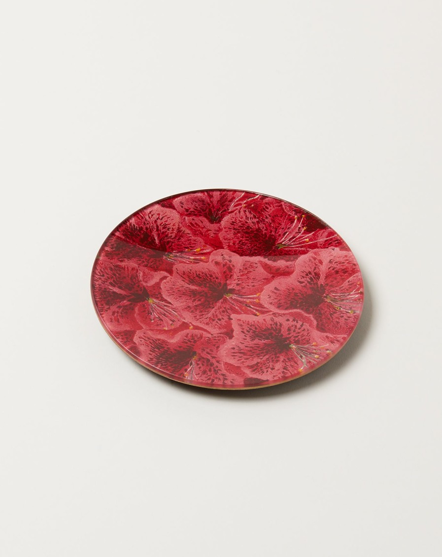 Home John Derian | Deep Azalea 5 3/4" Round