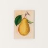 Home John Derian | Bartlett Pear Tiny Tray