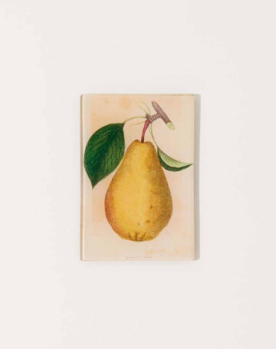 Home John Derian | Bartlett Pear Tiny Tray