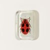 Home John Derian | Big Dot Ladybug Dotted Edge Paperweight