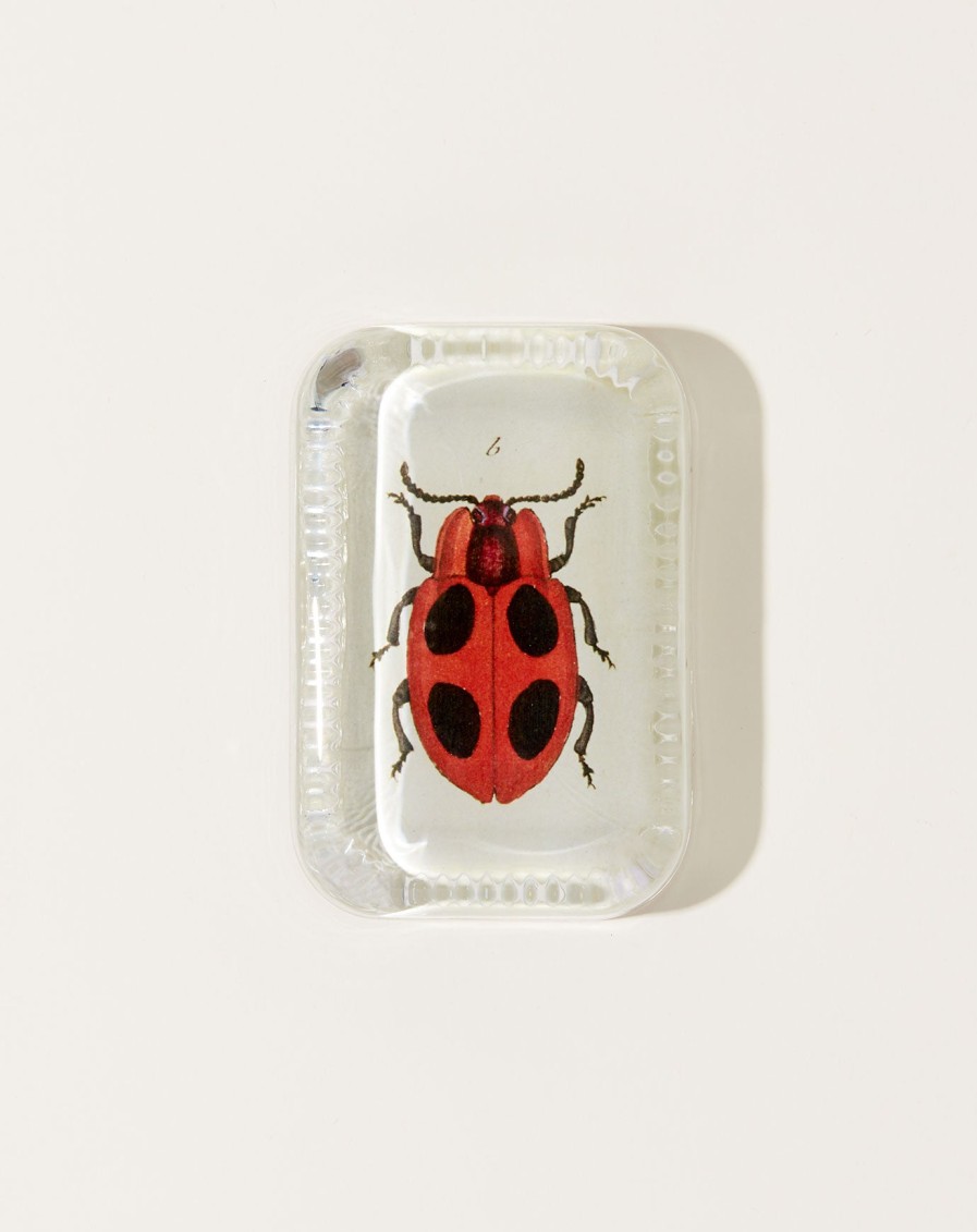 Home John Derian | Big Dot Ladybug Dotted Edge Paperweight