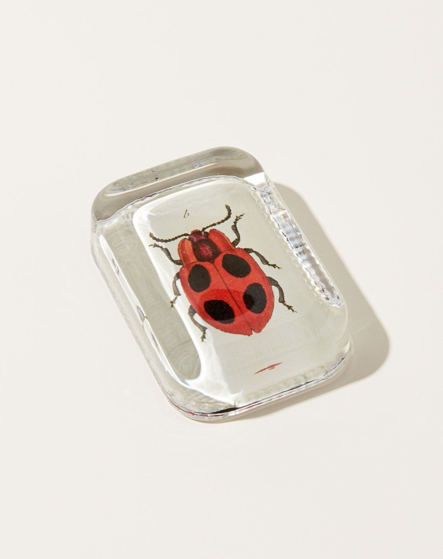 Home John Derian | Big Dot Ladybug Dotted Edge Paperweight