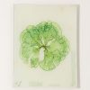 Home John Derian | #20 Seaweed (Clvi) Tray