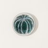 Home John Derian | Blue Sea Urchin Dome Paperweight