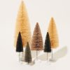 Home Cody Foster | Bottle Brush Trees In Neutral