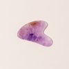 Apothecary Sounds | Gua Sha Amethyst