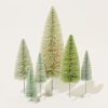 Home Cody Foster | Bottle Brush Trees In Winter Green