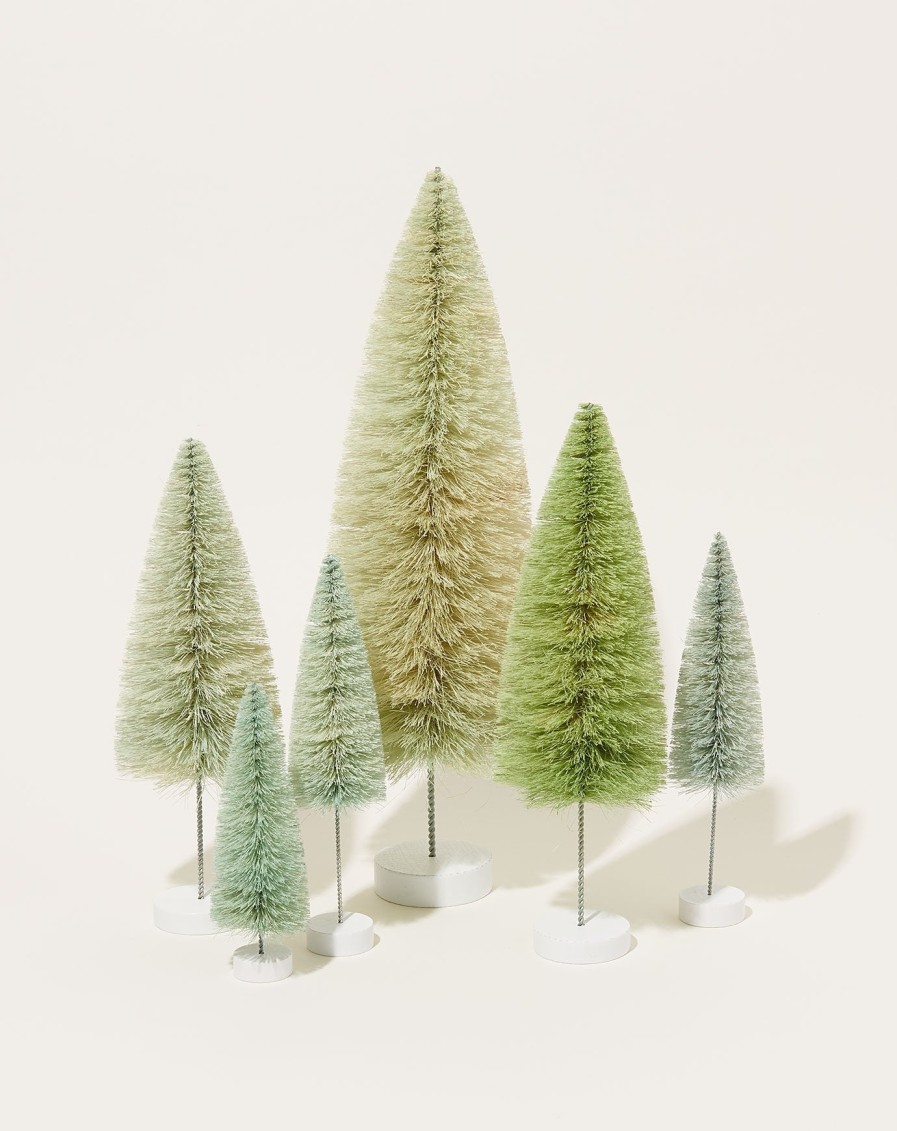 Home Cody Foster | Bottle Brush Trees In Winter Green