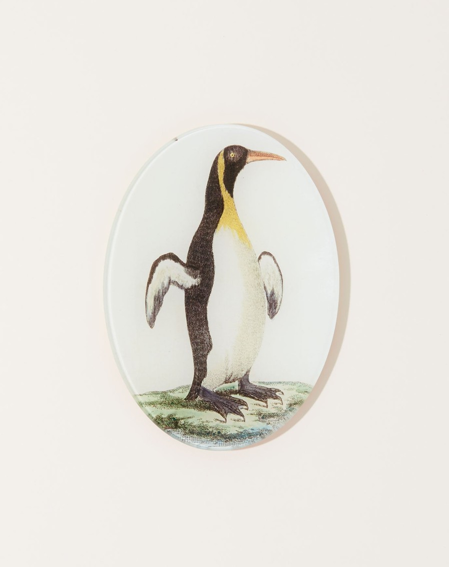 Home John Derian | Guillemot Oval Plate