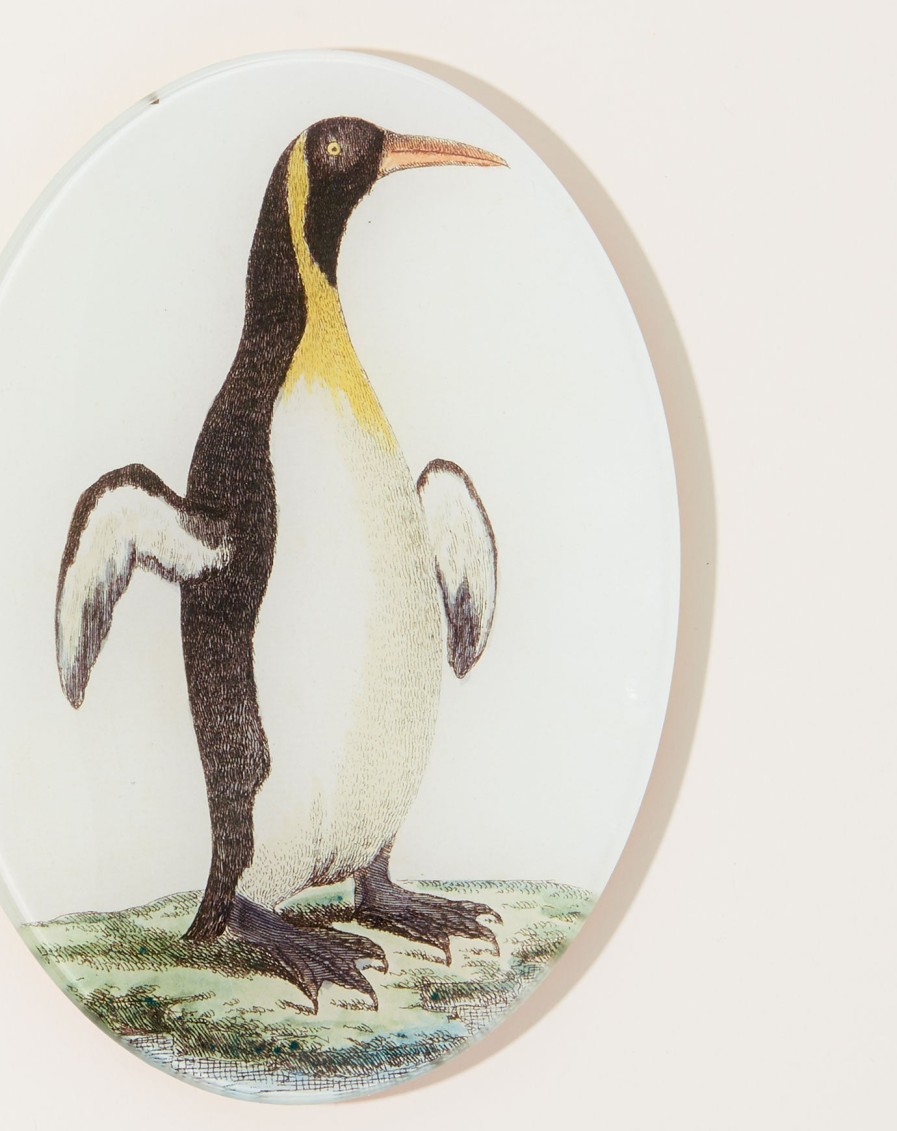 Home John Derian | Guillemot Oval Plate