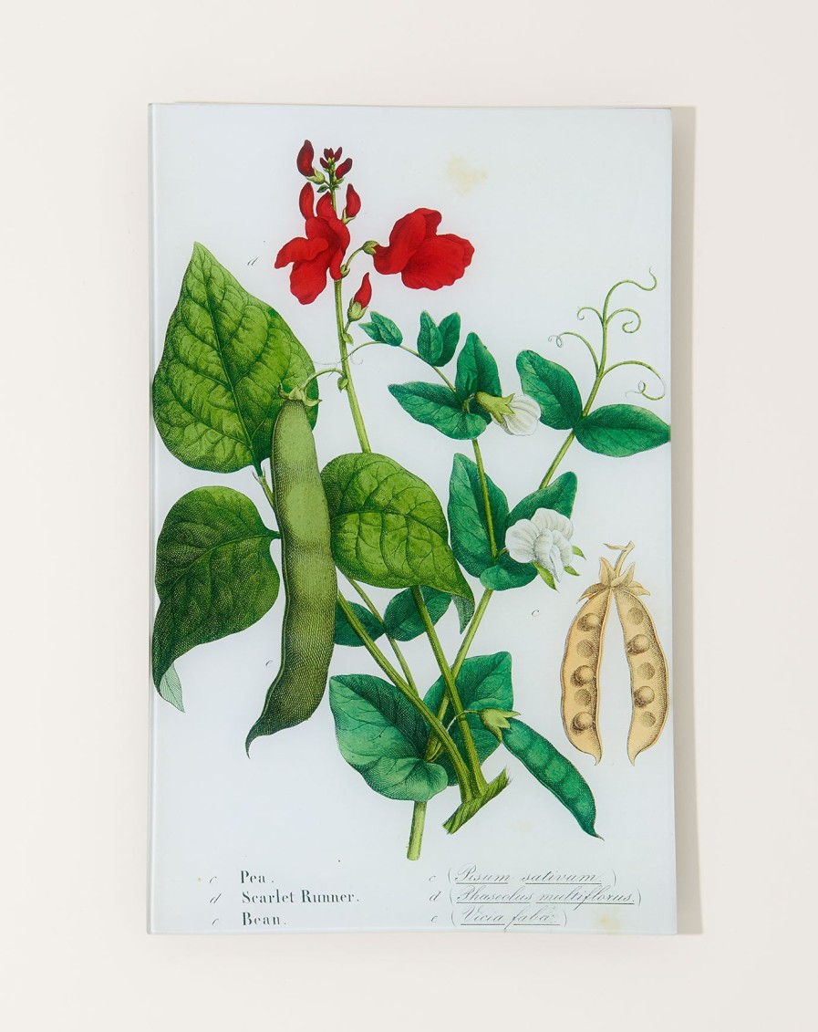 Home John Derian | Pea, Scarlet Runner, Bean (Kitchen Vegetables) Wall Tray